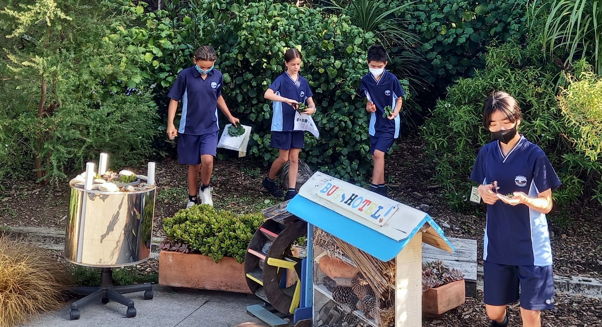 Outdoor Projects Bio