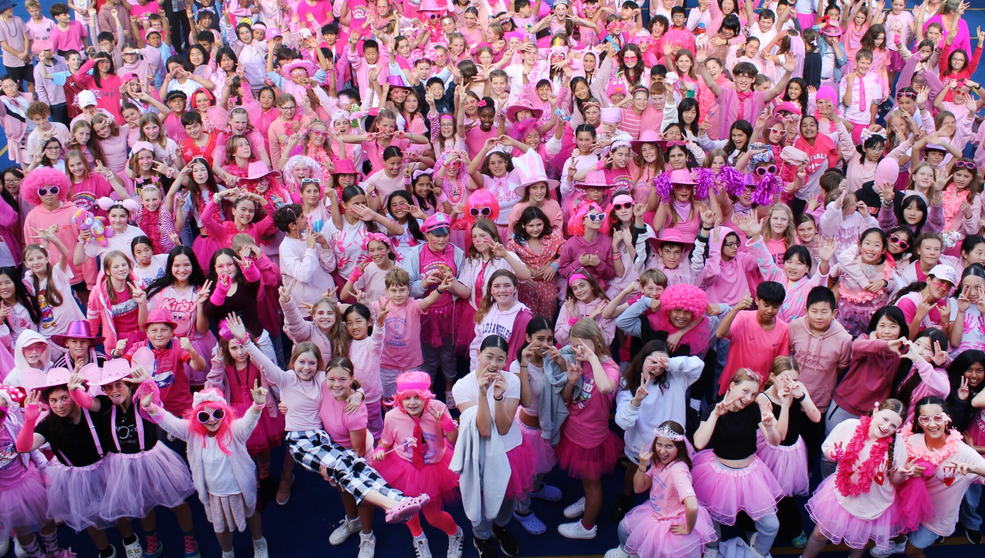 Pink Shirt NX Crowd